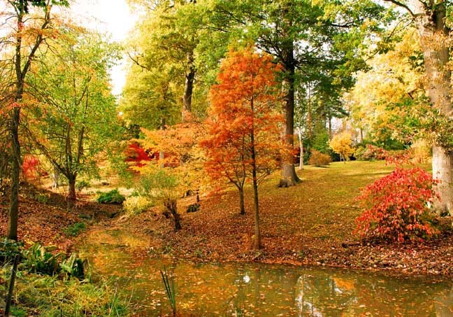Herfst